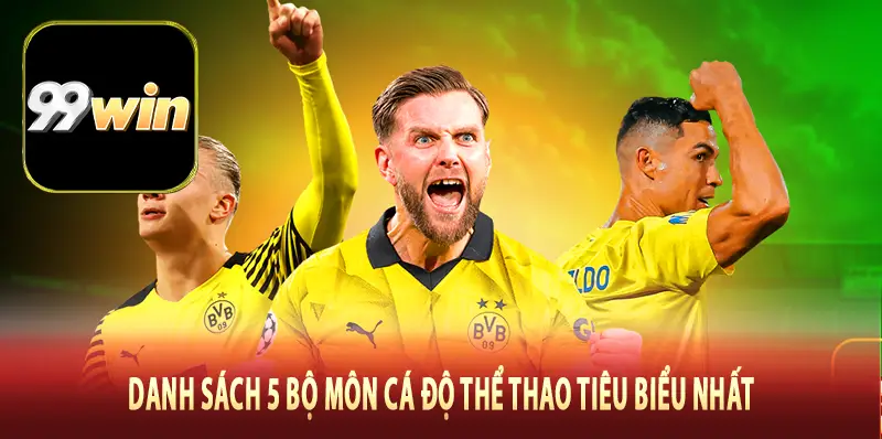 Danh sách 5 bộ môn cá độ thể thao tiêu biểu nhất