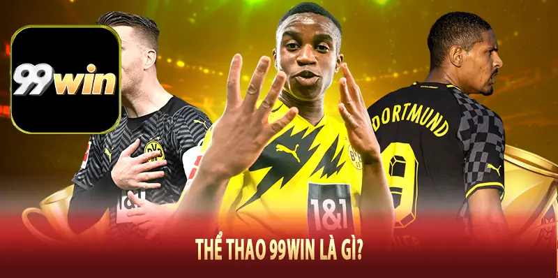 Thể thao 99Win là gì